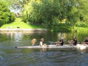 The Drawers of St Radegund are paraded down the length of the Cam