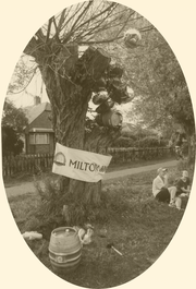 A rare early archive photo of the Beer Tree (please note ACTUAL tree in existence!)